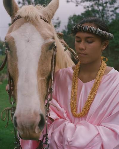A young woman wearing a lei standing beside a pale horse